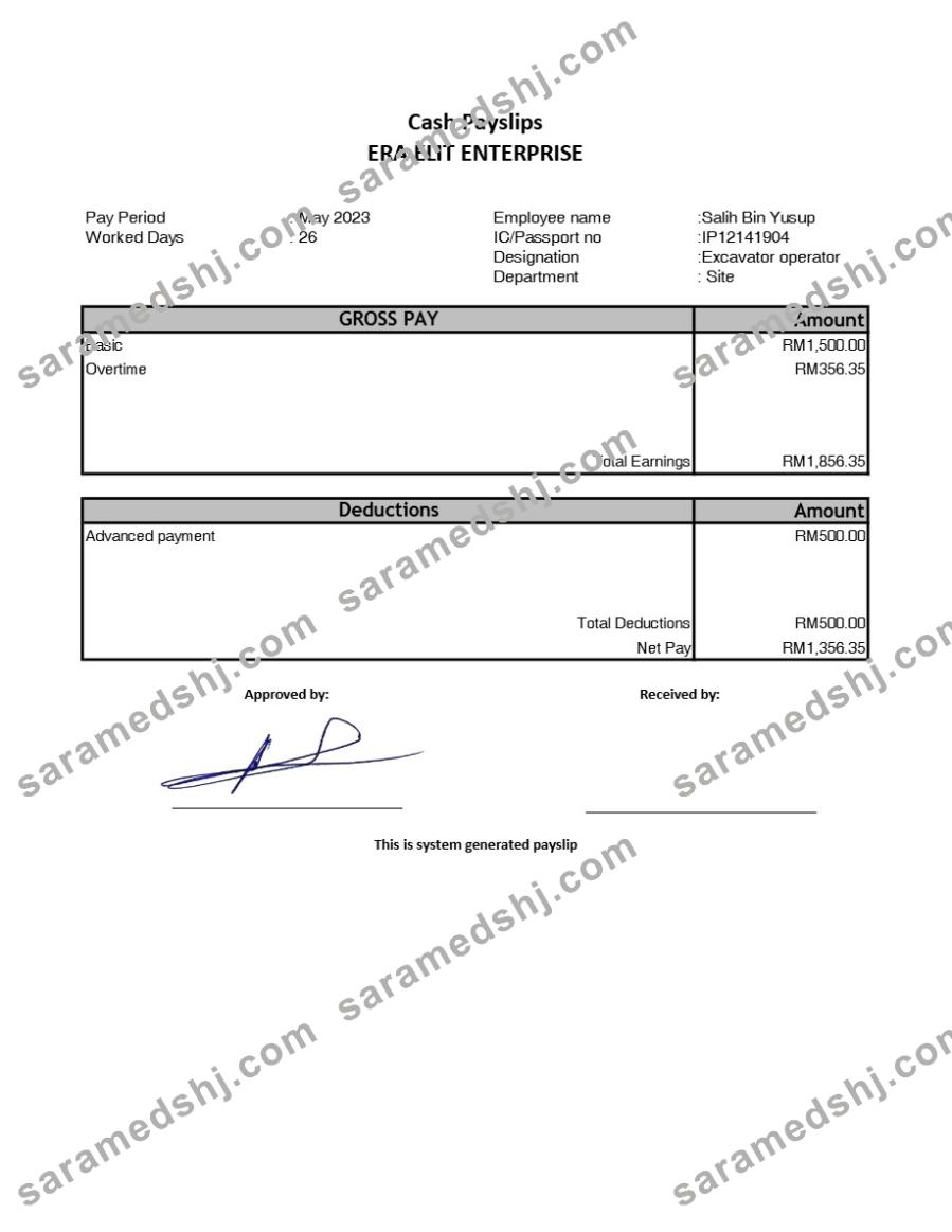 Era Elit Enterprise payslip template in Word and PDF formats.pdf, 1